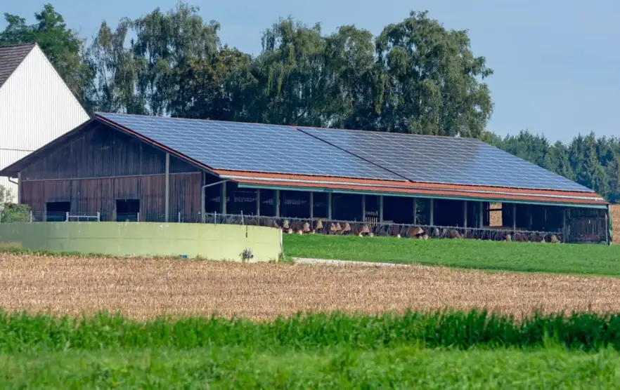 azienda agricola con pannelli fotovoltaici per bando parco agrisolare