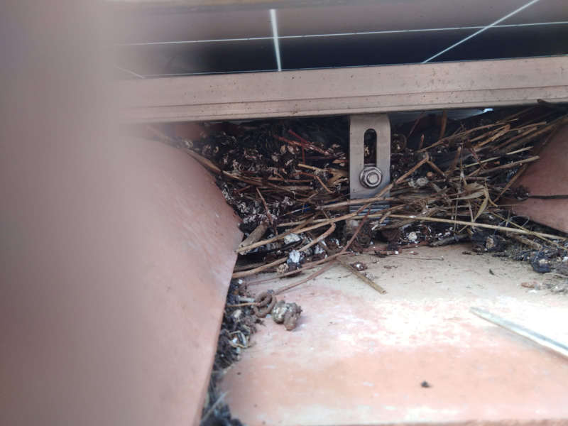 Sporco di uccelli sotto i pannelli solari installati su un tetto di una casa